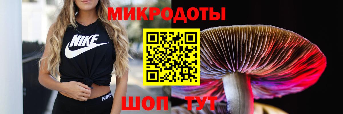 Галлюциногенные грибы Psilocybe  Вход с VPN  Алейск 